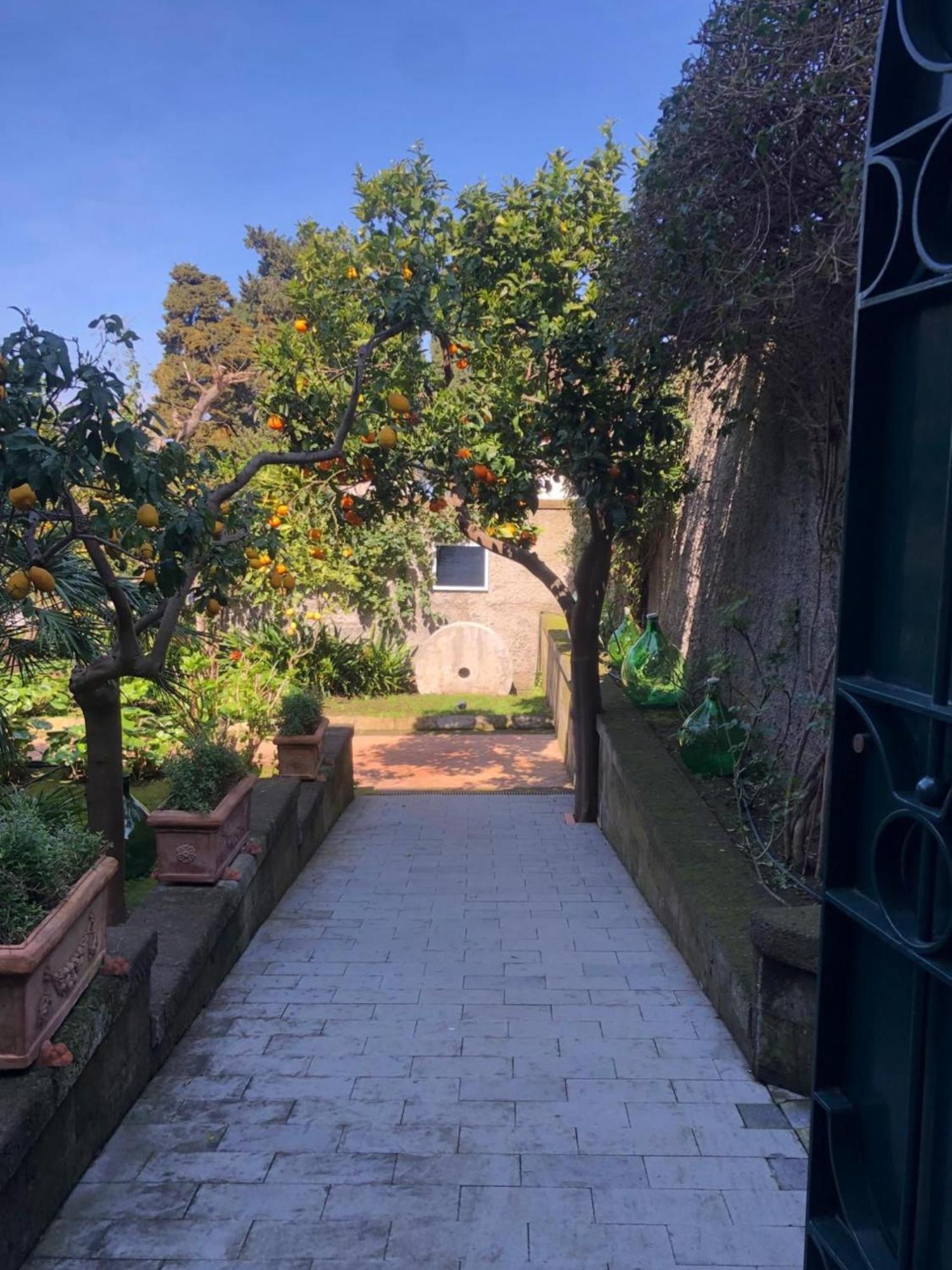 Suite Lidia B&B Sorrento Exterior foto